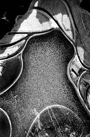 03-puddle-ice-71