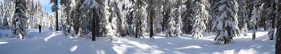 12-03-223pano