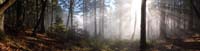 170pano