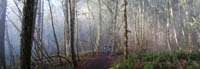 179pano