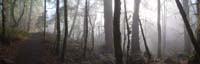 182pano