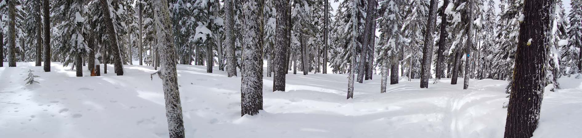 3969pano